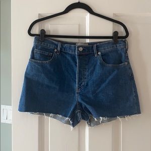 Everlane Cheeky Short